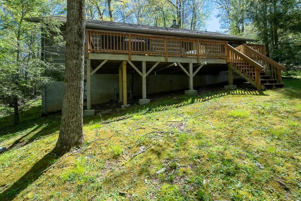 Cozy 'Grey Fox' Cabin Between Boone & בלואינג רוק מראה חיצוני תמונה