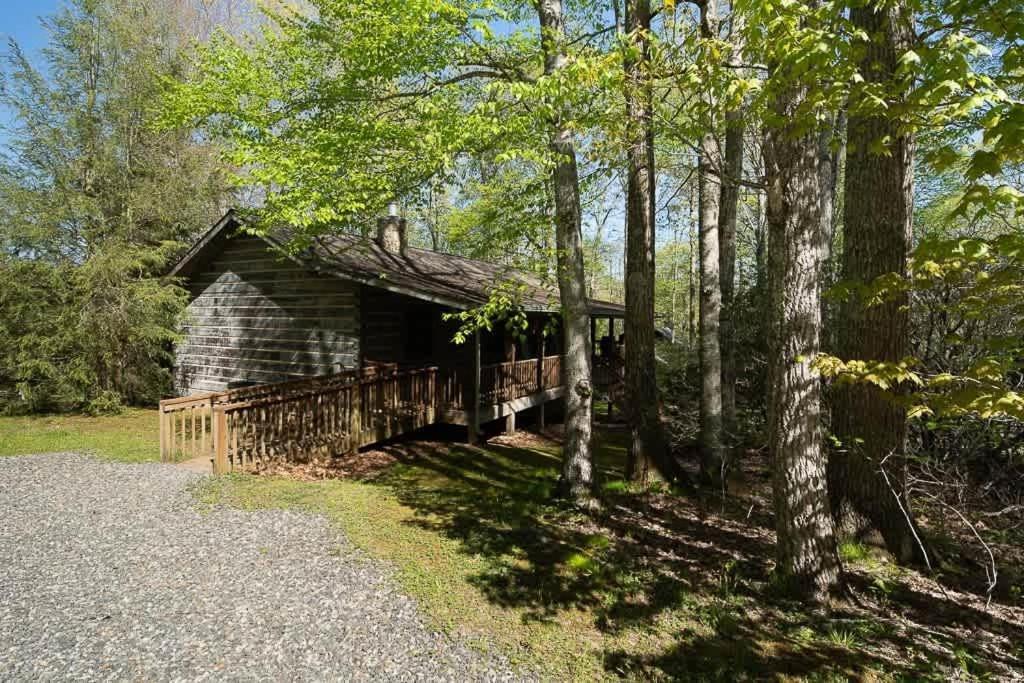 Cozy 'Grey Fox' Cabin Between Boone & בלואינג רוק מראה חיצוני תמונה